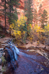 Canyon Fall