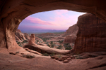 Desert Bliss