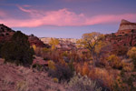 Desert Landscapes