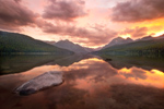 Golden Sunrise