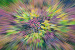 Into the Color 2