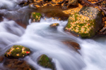 Leaf, River, Rock