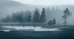 Misty Bridge
