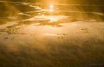 Morning/Evening