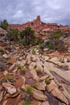 Sharktooth Canyon