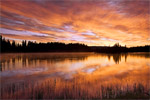 Yellowstone Sunrise